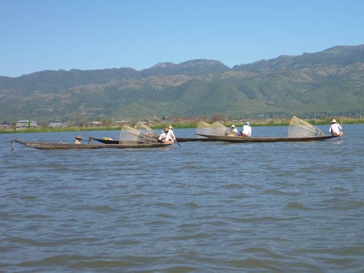 A number of fishing canoes.